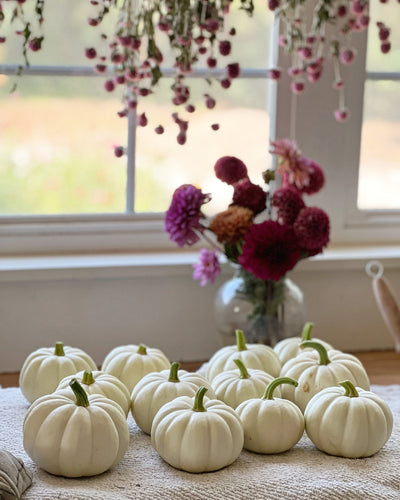 tiny pumpkins + late season flowers
