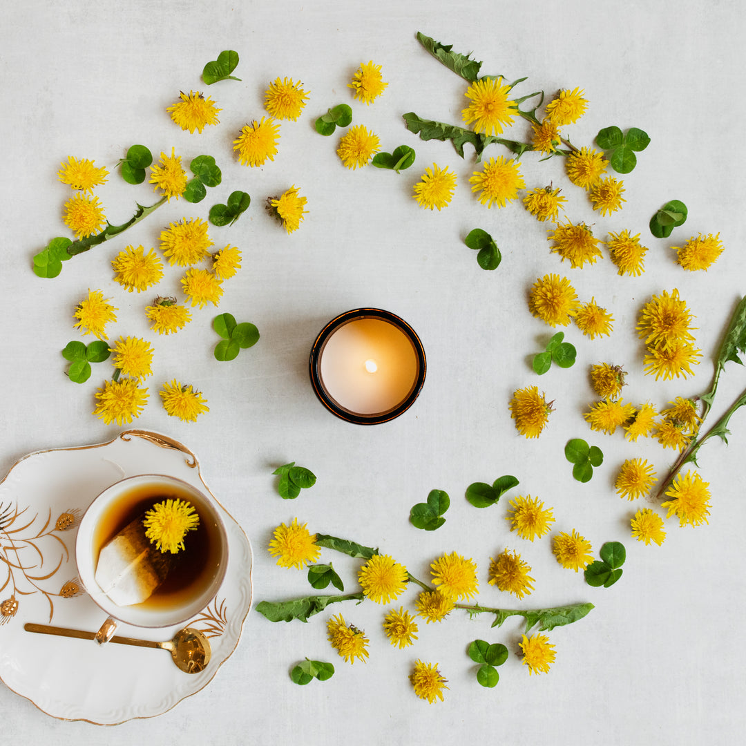 No. 51 DANDELION – Salt Creek Mercantile