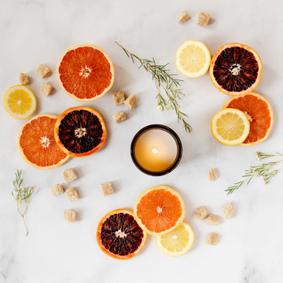 Lanai candle flat lay featuring sliced lemons, grapefruit, and blood oranges, raw sugar cubes, and greenery sprigs. 